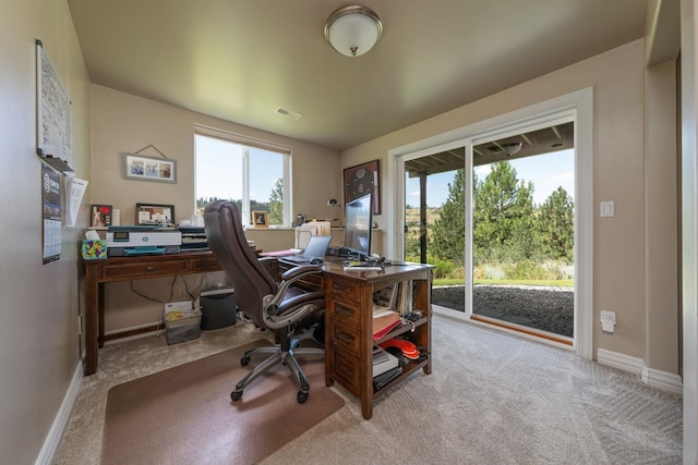 12101 S Troon Ln, Spokane, WA 99223 - photo 32