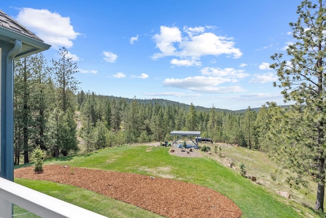 5315 S Morrow Park Rd, Spokane, WA 99206 - photo 42