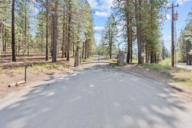 5315 S Morrow Park Rd, Spokane, WA 99206 - photo 49
