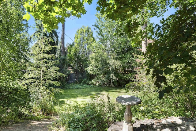 1315 E Rockwood Blvd, Spokane, WA 99203 - photo 42