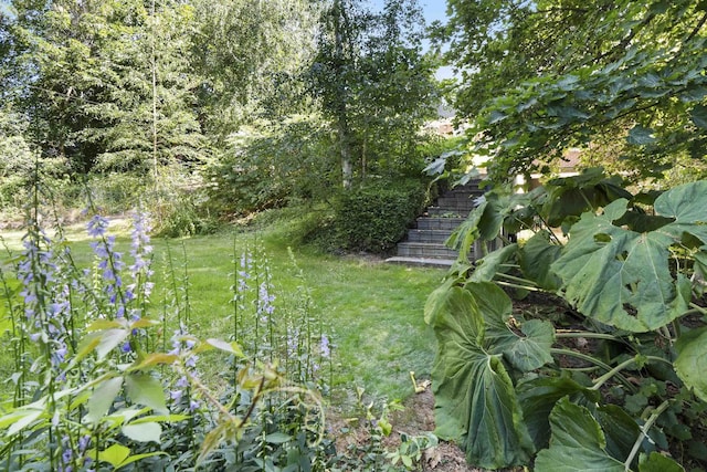 1315 E Rockwood Blvd, Spokane, WA 99203 - photo 44
