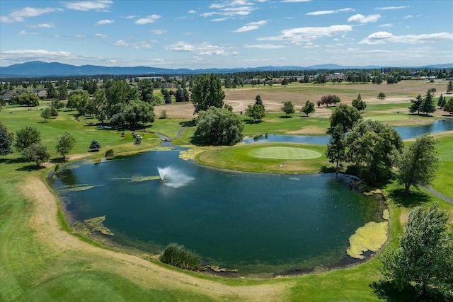 1109 N Country Club Dr Unit 2, Deer Park, WA 99006 - photo 41