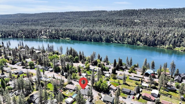 125 E Franklin Dr, Nine Mile Falls, WA 99026 - photo 35