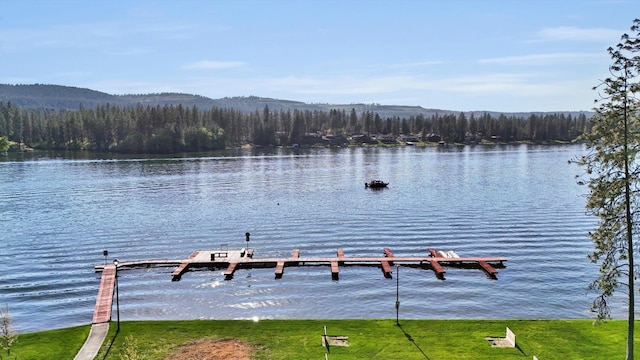 125 E Franklin Dr, Nine Mile Falls, WA 99026 - photo 42