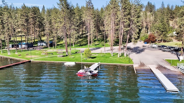 125 E Franklin Dr, Nine Mile Falls, WA 99026 - photo 45