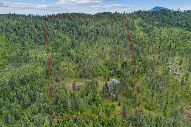 2111-F Dry Creek Rd, Chewelah, WA 99109 - photo 2