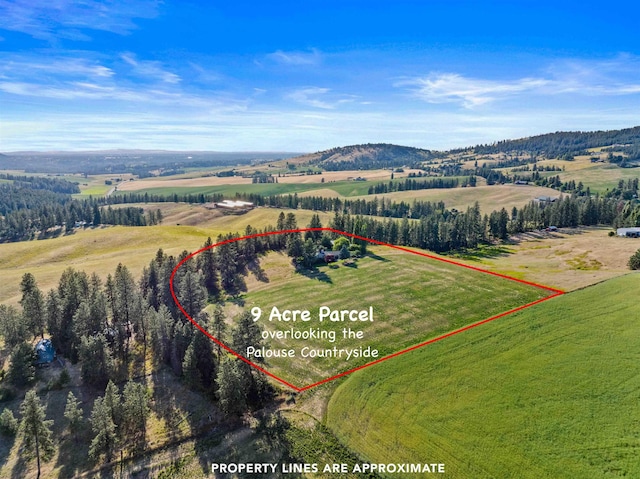 11305 S Stevens Creek Rd, Spokane, WA 99223 - photo 4