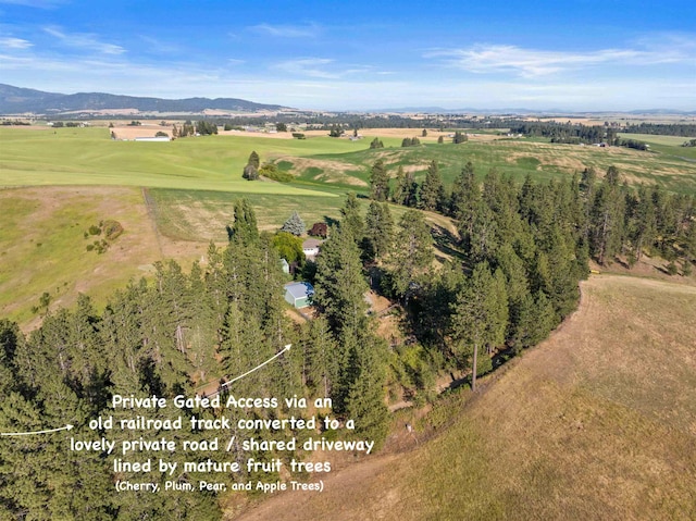 11305 S Stevens Creek Rd, Spokane, WA 99223 - photo 39