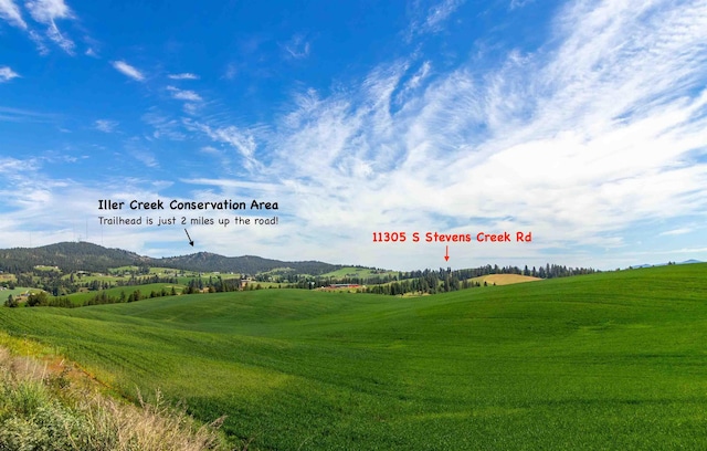 11305 S Stevens Creek Rd, Spokane, WA 99223 - photo 5