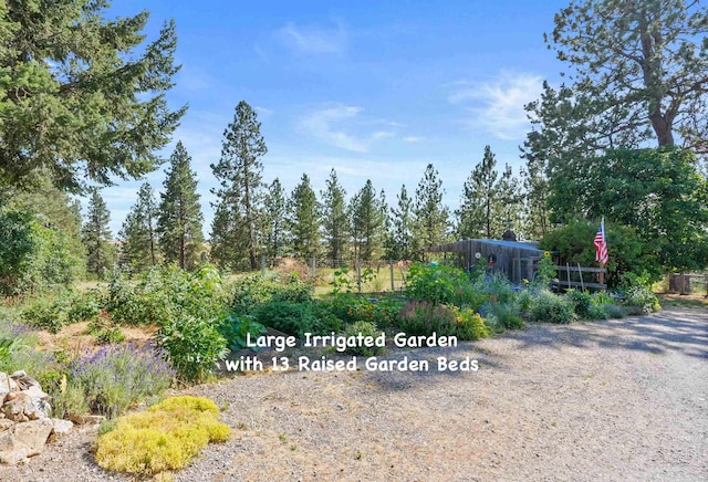 11305 S Stevens Creek Rd, Spokane, WA 99223 - photo 49