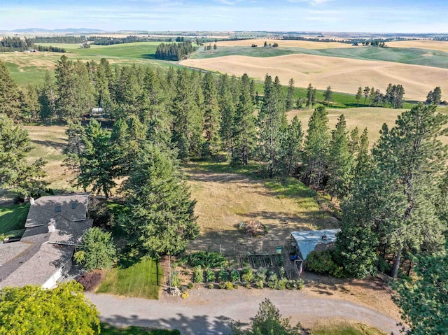 11305 S Stevens Creek Rd, Spokane, WA 99223 - photo 7