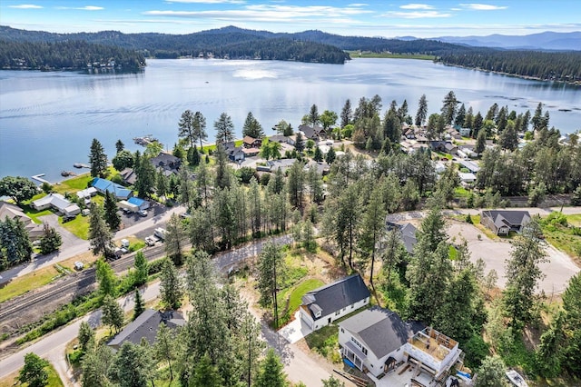 40083 Lake Terrace Ct, Loon Lake, WA 99148 - photo 34
