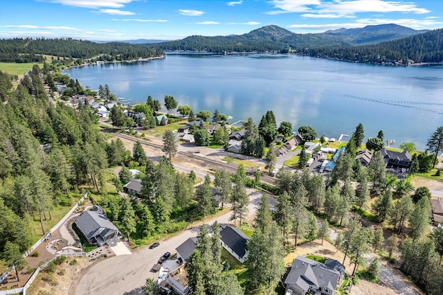 40083 Lake Terrace Ct, Loon Lake, WA 99148 - photo 36