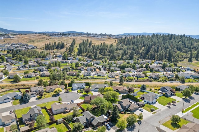 18023 E 9th St, Greenacres, WA 99016 - photo 34