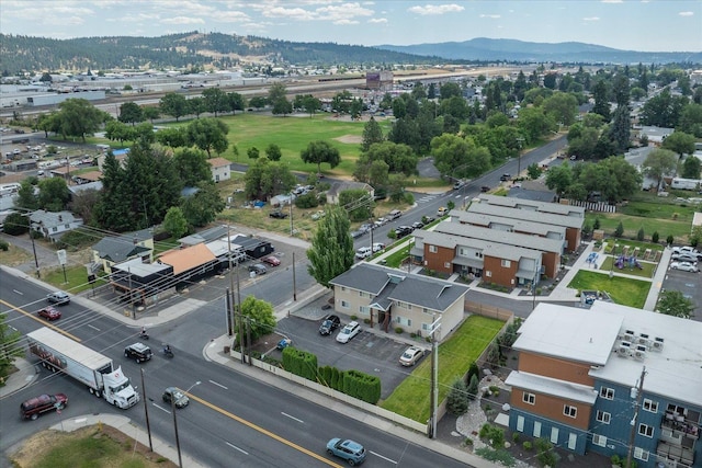 6229 N Regal St, Spokane, WA 99208 - photo 6