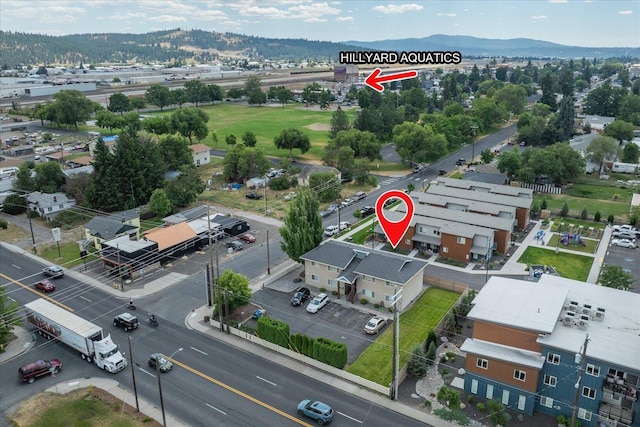 6229 N Regal St, Spokane, WA 99208 - photo 7