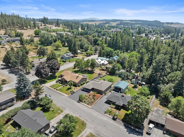 860 E 2nd Ave, Colville, WA 99114 - photo 44