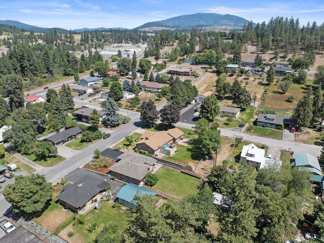 860 E 2nd Ave, Colville, WA 99114 - photo 45