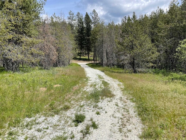 4150 Norris Rd, Springdale, WA 99173 - photo 1