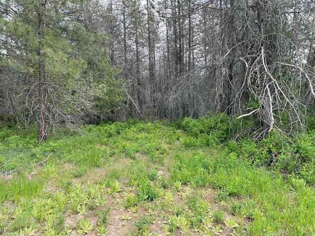 4150 Norris Rd, Springdale, WA 99173 - photo 2