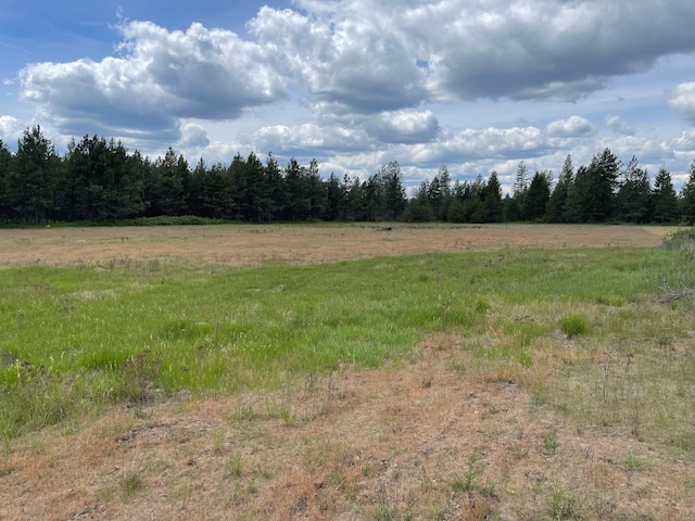 4150 Norris Rd, Springdale, WA 99173 - photo 3