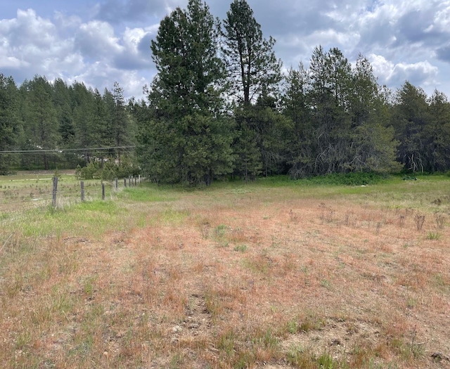 4150 Norris Rd, Springdale, WA 99173 - photo 4