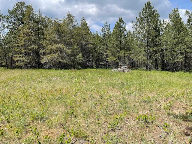 4150 Norris Rd, Springdale, WA 99173 - photo 7