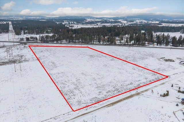 5623 W Mule Deer Ln, Deer Park, WA 99006 - photo 7