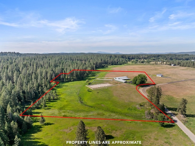 24415 N Crescent Rd, Chattaroy, WA 99003 - photo 35