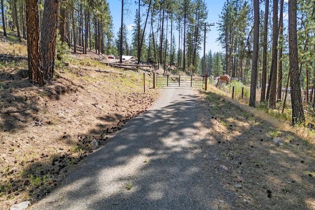 1477 College Ln Unit F, Kettle Falls, WA 99141 - photo 11