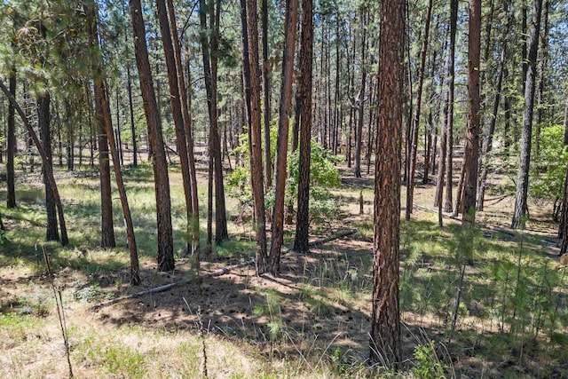 1477 College Ln Unit F, Kettle Falls, WA 99141 - photo 10