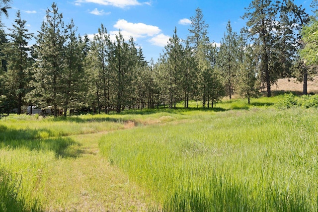 87XX S Brayton Rd, Medical Lake, WA 99022 - photo 5