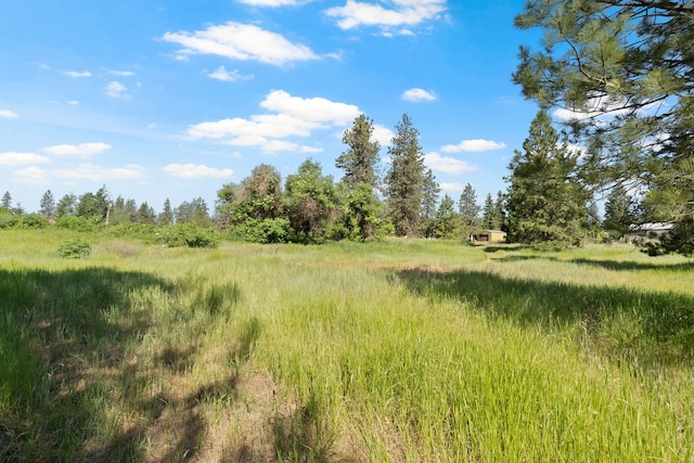 87XX S Brayton Rd, Medical Lake, WA 99022 - photo 7