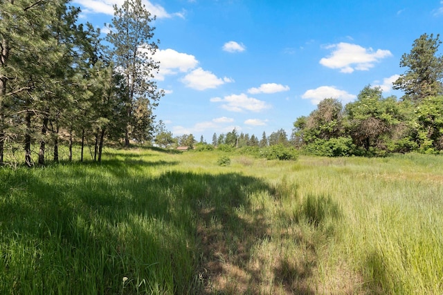 87XX S Brayton Rd, Medical Lake, WA 99022 - photo 8