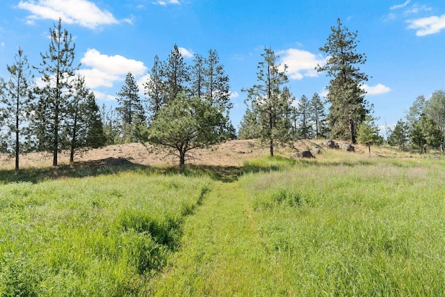 87XX S Brayton Rd, Medical Lake, WA 99022 - photo 9