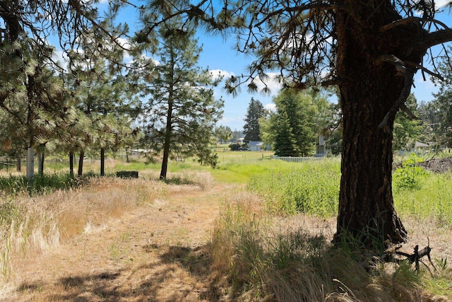 87XX S Brayton Rd, Medical Lake, WA 99022 - photo 10