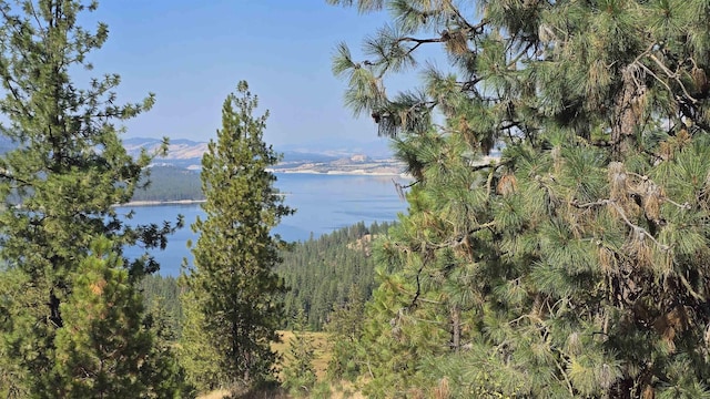 6237 Deer Tracks Way, Fruitland, WA 99129 - photo 2