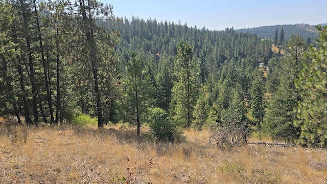 6237 Deer Tracks Way, Fruitland, WA 99129 - photo 11