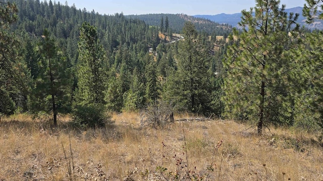 6237 Deer Tracks Way, Fruitland, WA 99129 - photo 12