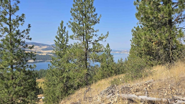 6237 Deer Tracks Way, Fruitland, WA 99129 - photo 14