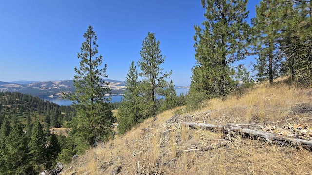 6237 Deer Tracks Way, Fruitland, WA 99129 - photo 15