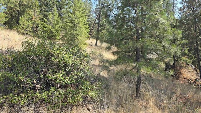 6237 Deer Tracks Way, Fruitland, WA 99129 - photo 16