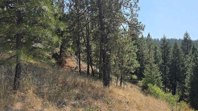 6237 Deer Tracks Way, Fruitland, WA 99129 - photo 17
