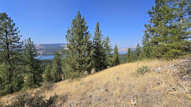 6237 Deer Tracks Way, Fruitland, WA 99129 - photo 18