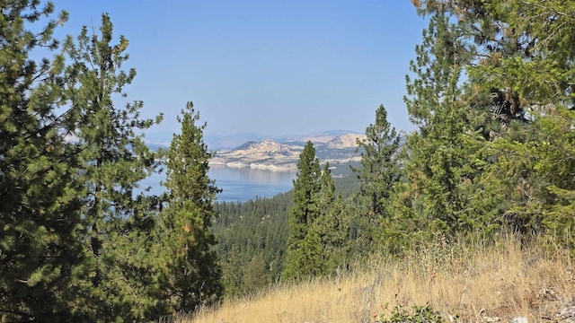 6237 Deer Tracks Way, Fruitland, WA 99129 - photo 19