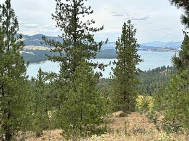 6237 Deer Tracks Way, Fruitland, WA 99129 - photo 20