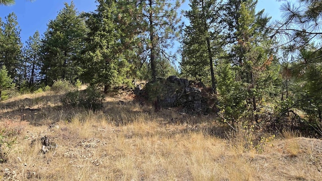 6237 Deer Tracks Way, Fruitland, WA 99129 - photo 9