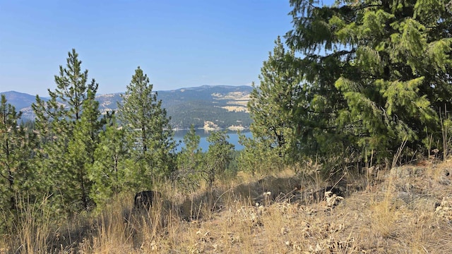 6237 Deer Tracks Way, Fruitland, WA 99129 - photo 10