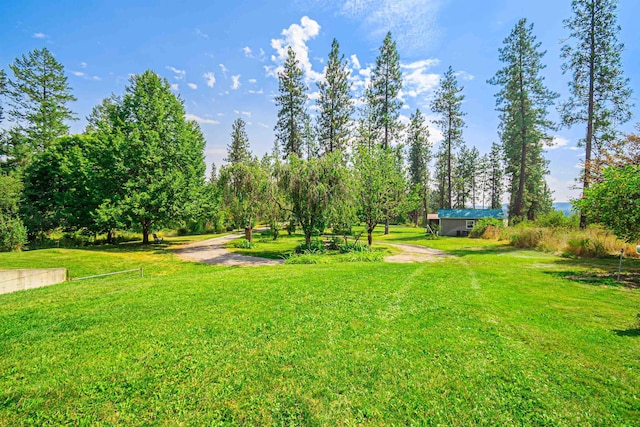 3182 Jackel Rd, Valley, WA 99181 - photo 4