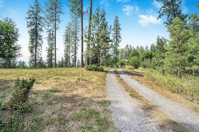 3182 Jackel Rd, Valley, WA 99181 - photo 32